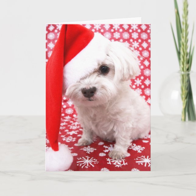 Puppy Christmas Card (Front)