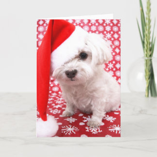 Puppy Christmas Card