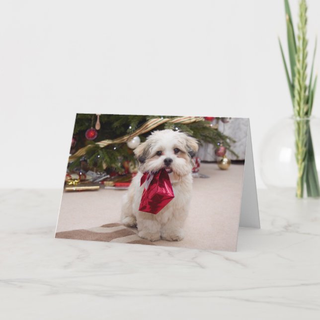 Puppy Christmas Card (Front)