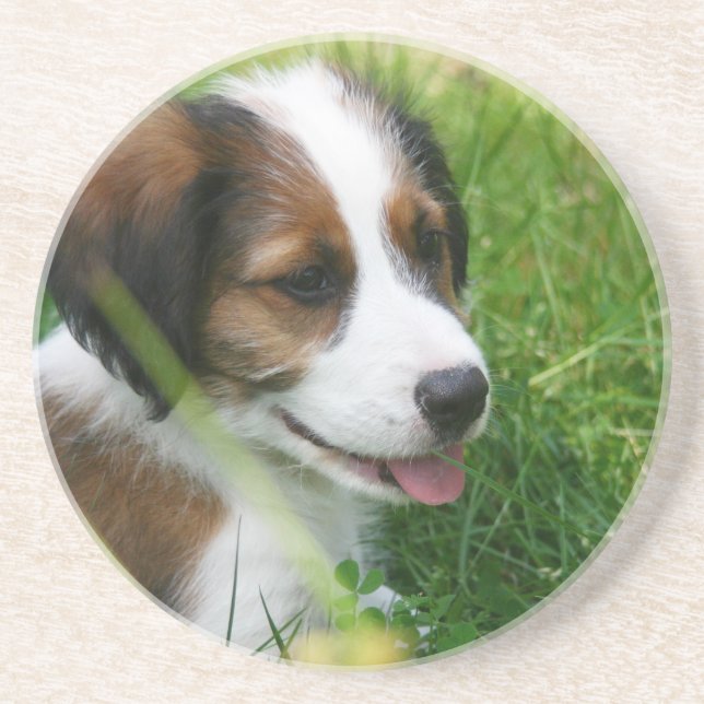 Puppy Coaster (Front)