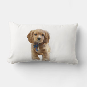Puppy Cocker spaniels Lumbar Cushion