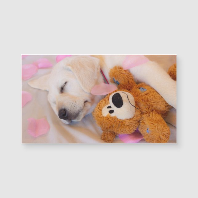 Puppy cuddles 02 (Front)