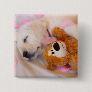 Puppy cuddles 02 15 cm square badge