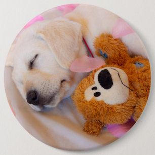 Puppy cuddles 02 6 cm round badge