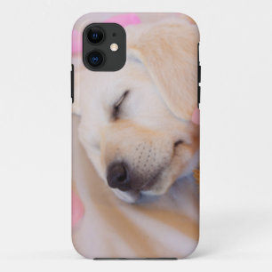 Puppy cuddles 02 iPhone 11 case
