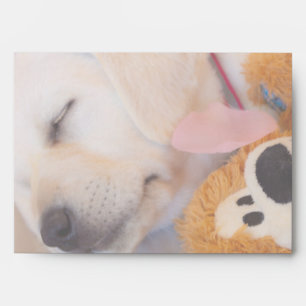 Puppy cuddles 02 envelope