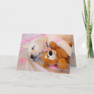 Puppy cuddles 02 holiday card