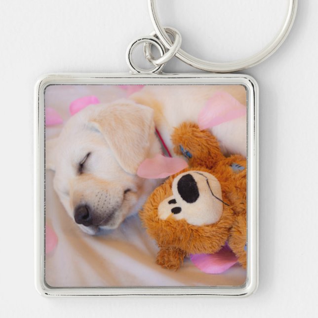 Puppy cuddles 02 key ring (Front)