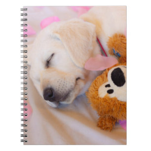 Puppy cuddles 02 notebook