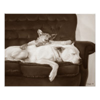 puppy cuddling white american bulldog realist art