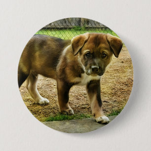 Puppy Curtness T-Shirt Button