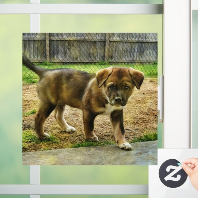 Puppy Curtness T-Shirt Window Cling (Home)