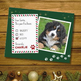 Puppy Dear Santa Green Christmas Greeting Card