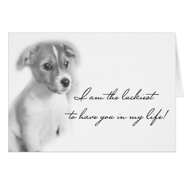 Puppy dog (Front Horizontal)