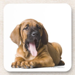 Puppy Dog 2 Coaster