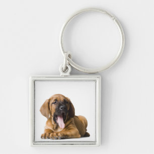 Puppy Dog 2 Key Ring