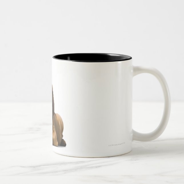 Puppy Dog 2 Two-Tone Coffee Mug (Right)