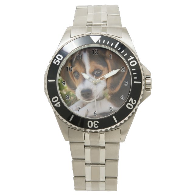 Puppy Dog Beagle Watch (Front)