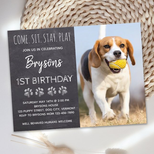 Puppy Dog Birthday Come Sit Stay Play Party Postcard (Creator Uploaded)