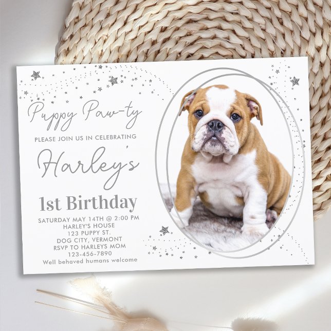 Puppy Dog Birthday Custom Pet Photo Silver Stars Invitation (Creator Uploaded)