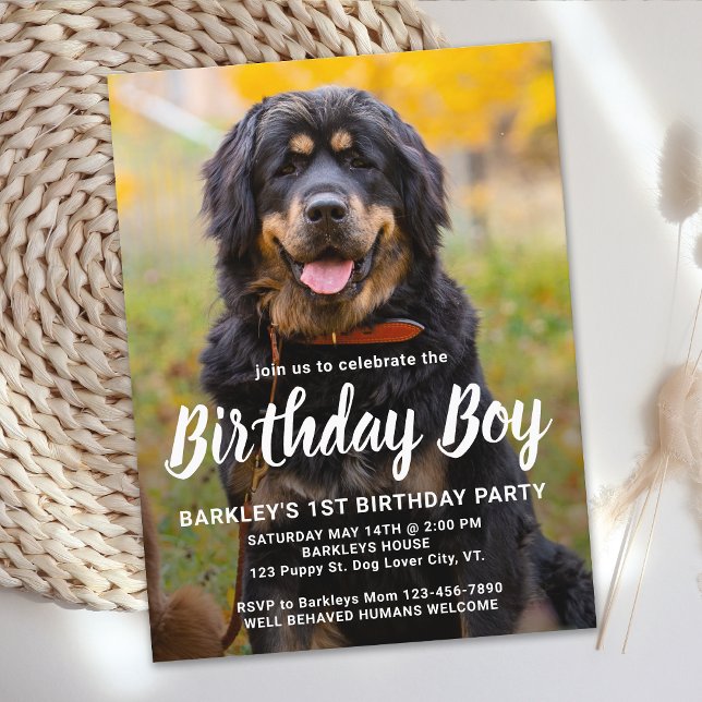 Puppy Dog Birthday Party Custom Pet Photo Invitation Postcard (Creator Uploaded)
