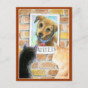Puppy dog, cats, "Wanted" poster post card