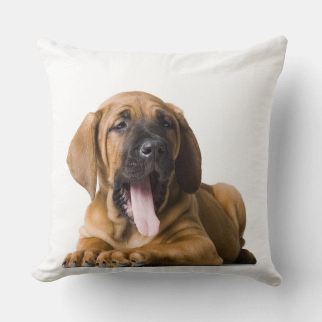 Puppy Dog Cushion (Front)