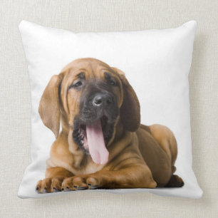 Puppy Dog Cushion