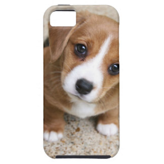 Puppy Dog Eyes Tough iPhone 5 Case