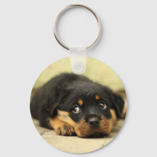 Puppy dog key ring