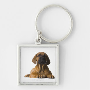 Puppy Dog Key Ring