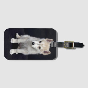 Puppy dog luggage tag