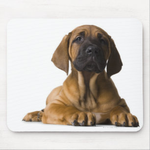 Puppy Dog Mouse Pad