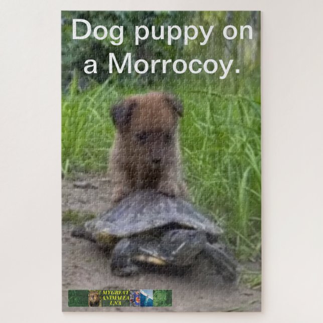 Puppy dog ​​puzzle on a Morrocoy. Jigsaw Puzzle (Vertical)