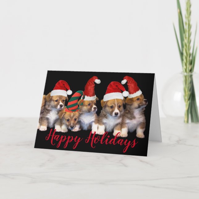 Puppy Dog Santa Hats Happy Holidays Christmas Card (Front)