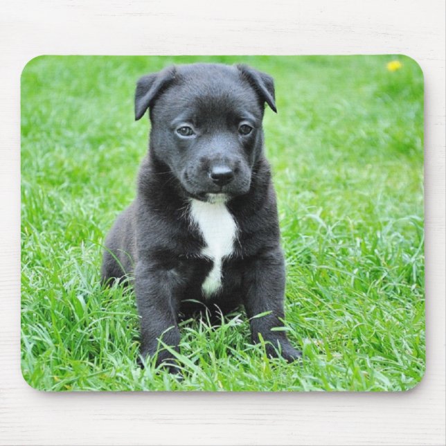 Puppy doggy mouse pad (Front)