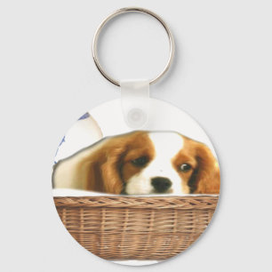 Puppy Dogs Key Ring