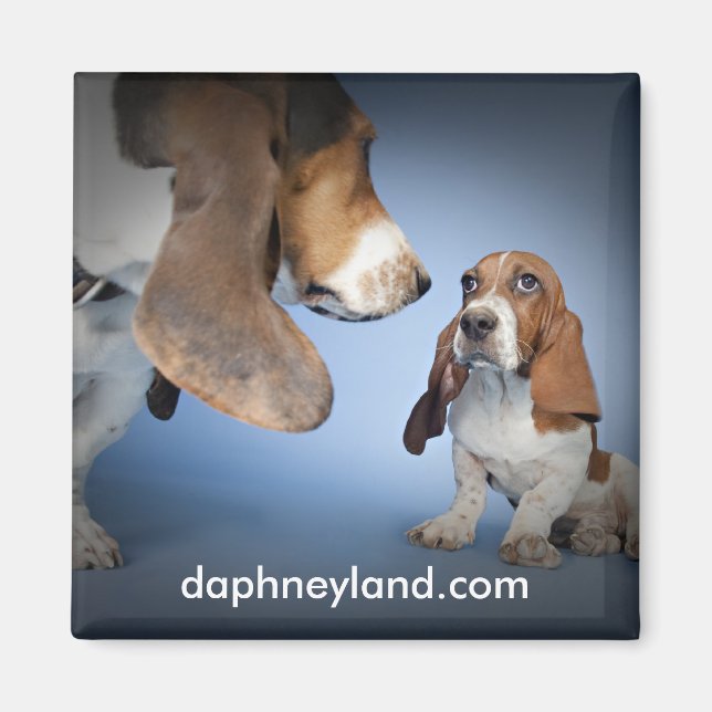 Puppy Encounter Magnet (Front)