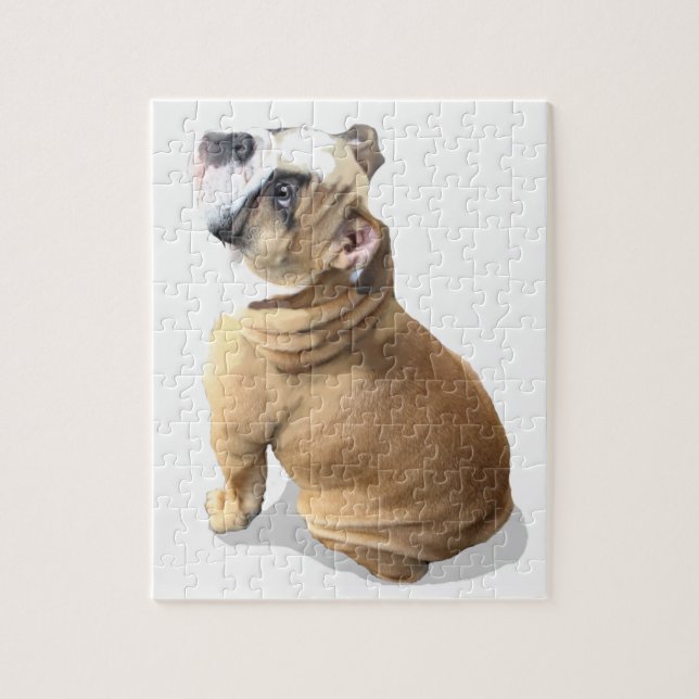 puppy english bulldog puppy puzzle (Vertical)