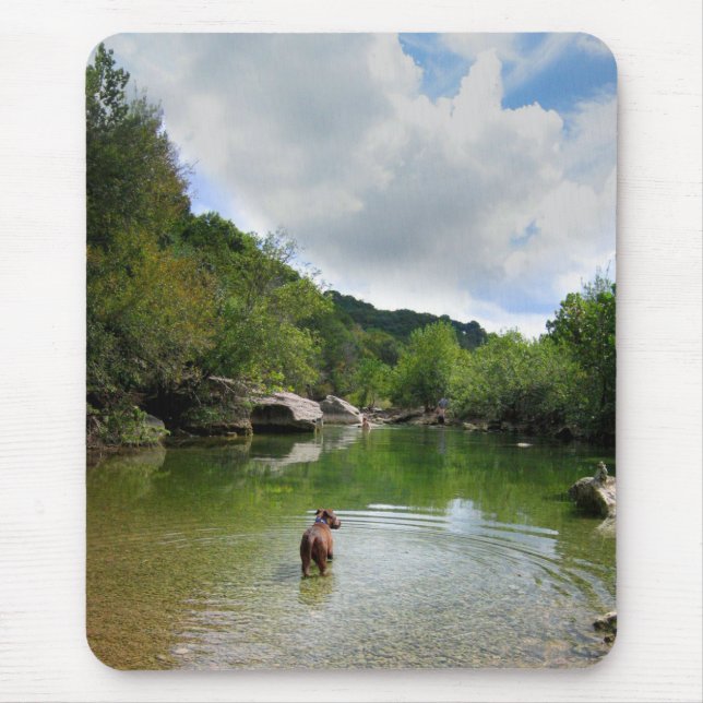Puppy Exploring Barton Creek - Austin Texas Mouse Pad (Front)