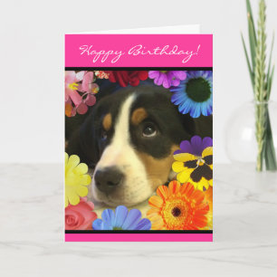 Puppy eyes birthday card