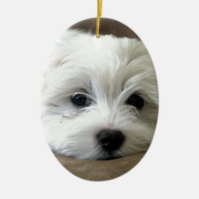 Puppy Eyes Ceramic Tree Decoration (Front)