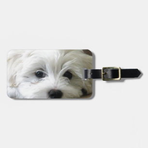 Puppy Eyes Luggage Tag