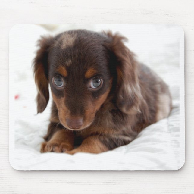 Puppy eyes mouse pad (Front)