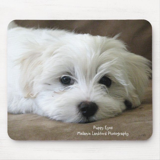 Puppy Eyes Mouse Pad (Front)