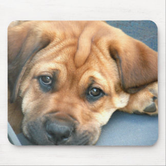 Puppy Eyes Mousepad