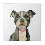 "Puppy Eyes" Pit Bull Dog Watercolor Painting Tile<br><div class="desc">This is a watercolor painting of a black and white pit bull puppy. It is a close up of the dog with large hopeful looking eyes. This was painted on Arched hot pressed paper with Daniel Smith watercolor paints.</div>