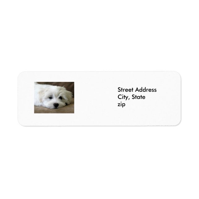 Puppy Eyes Return Address Label (Front)