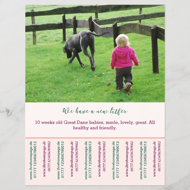 puppy for sale flyer templates (Front)