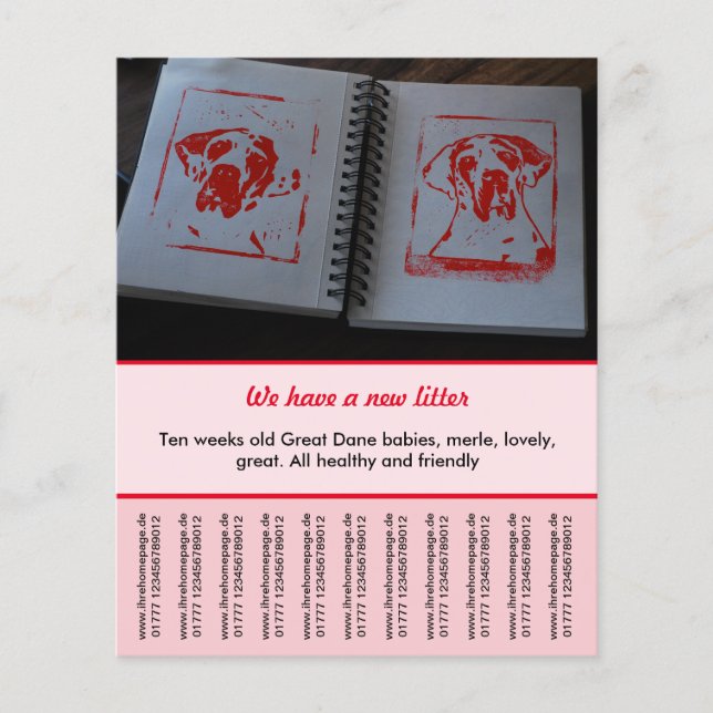 puppy for sale flyer templates (Front)